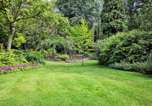 Optimiser l'expérience du jardin à Riencourt-les-Cagnicourt